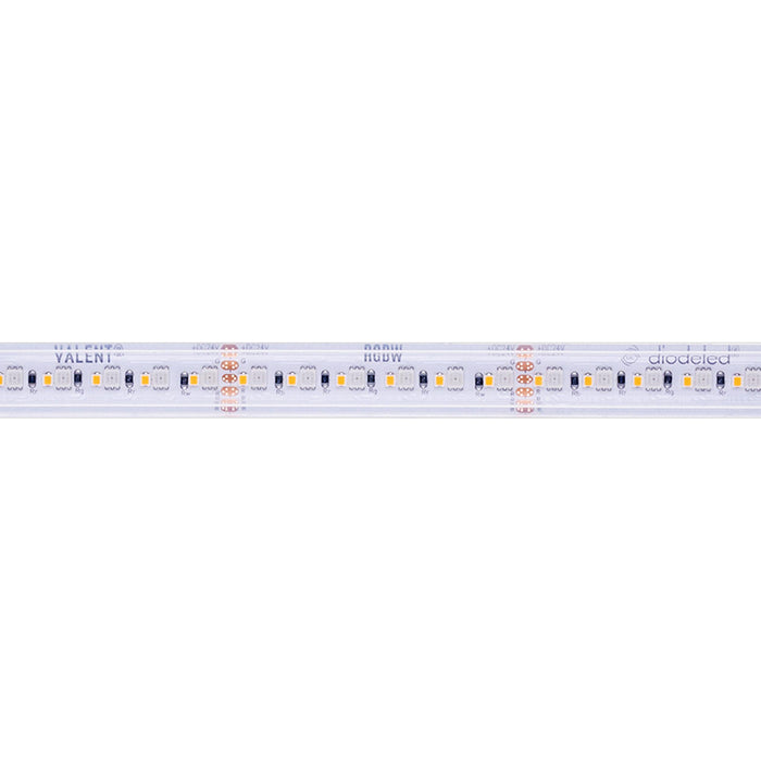 Diode LED Valent RGBW Wet Location LED Tape Light