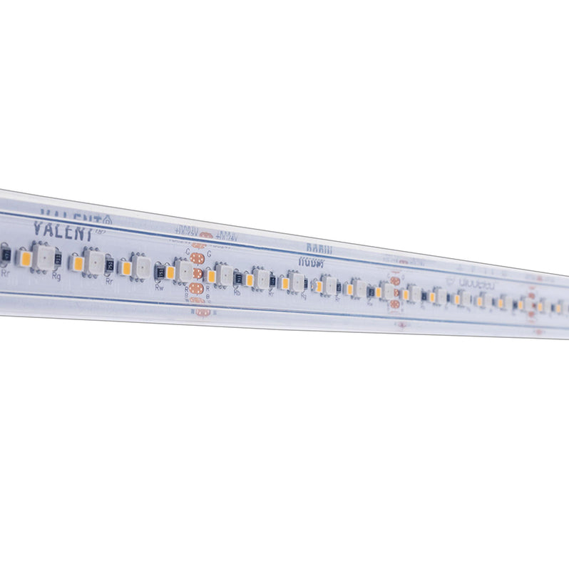 Location Led Color Diode LED Valent RGBW Wet Location 24V 6.1W/Ft, Color Changing LED Tap