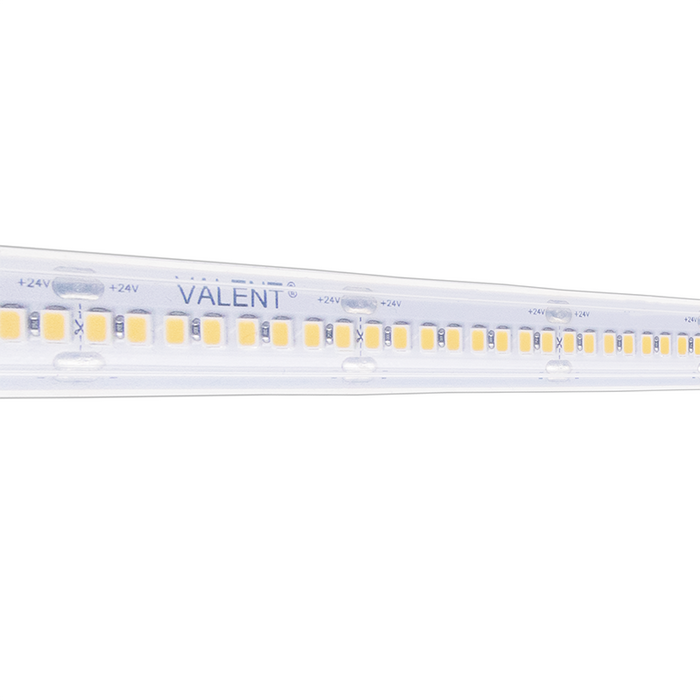 Diode LED Valent Wet Location LED Tape Light