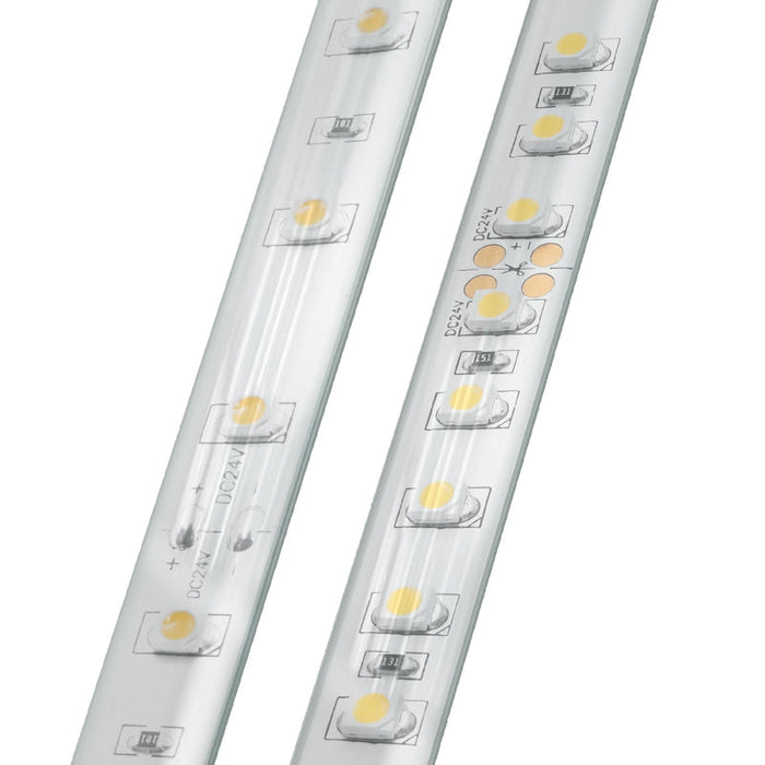Diode LED BLAZE Wet Location 12V 2.93W/ft LED Strip Light, 16.4 ft.