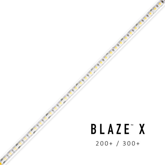 Diode LED BLAZE X Wet location 12V 3.1W/ft LED Tape Light, 16.4 ft.