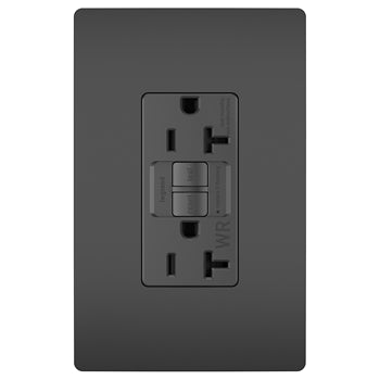 Black w/ Wall Plate