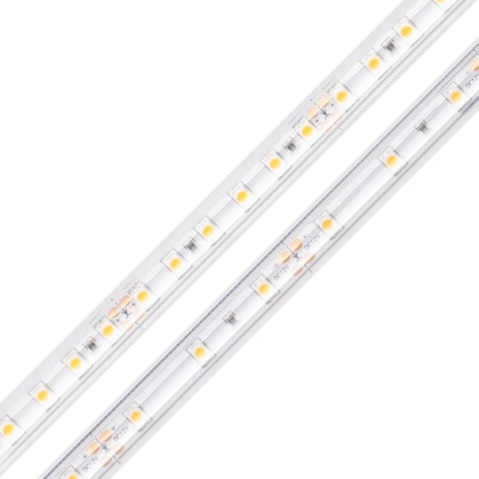 Diode LED BLAZE Wet Location 24V 4.5W/ft LED Strip Light, 100 ft.