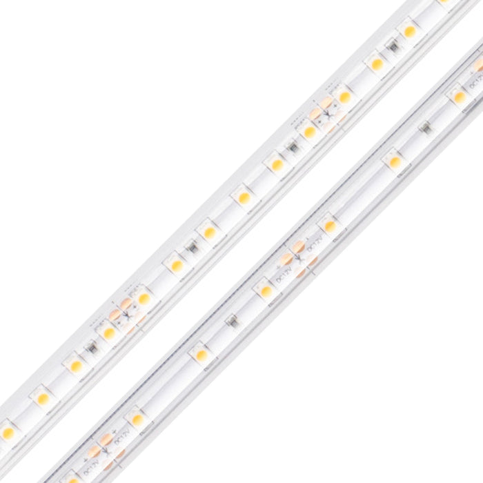 Diode LED BLAZE Wet Location 24V 1.46W/ft LED Strip Light, 16.4 ft.