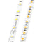 Diode LED BLAZE X 100 1.5W/ft LED Tape Light