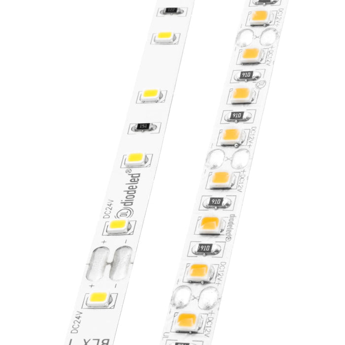 Diode LED BLAZE X 24V 4.3W/ft LED Tape Light, 16.4 ft.