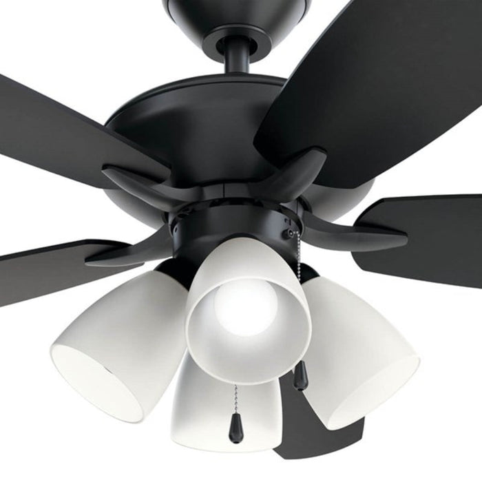 Kichler 330162 Renew Premier 52" Ceiling Fan with LED Light Kit