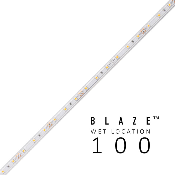 Diode LED BLAZE Wet Location 24V 1.46W/ft LED Strip Light, 16.4 ft.