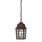 Nuvo Banyan 1-lt 11" Tall Outdoor Hanging Lantern