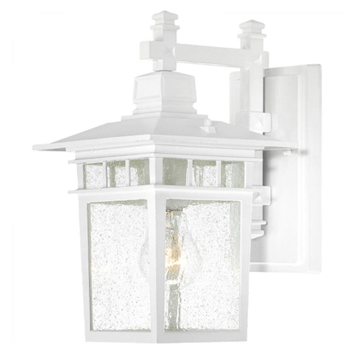 Nuvo Cove Neck 1-lt 12" Tall Outdoor Wall Lantern