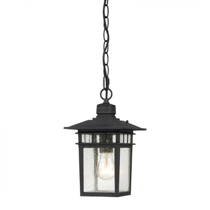 Nuvo Cove Neck 1-lt 7" Outdoor Hanging Lantern