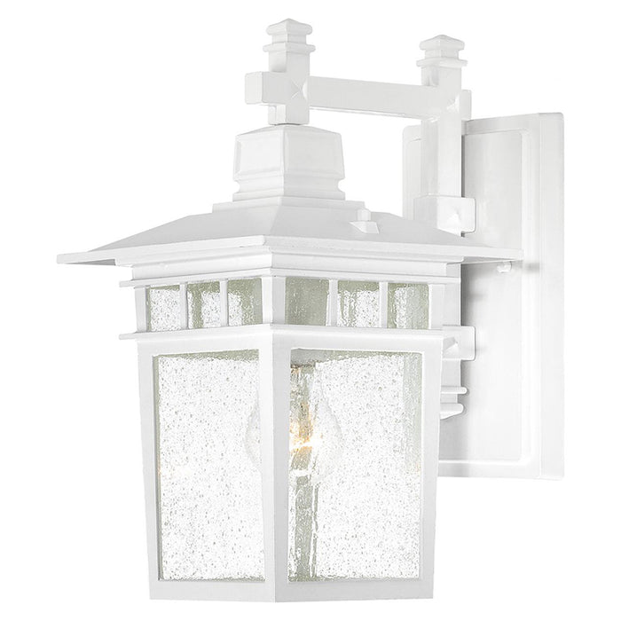 Nuvo Cove Neck 1-lt 14" Tall Outdoor Wall Lantern