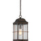 Nuvo 60-5836 Howell 1-lt 9" Outdoor Hanging Lantern