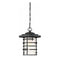 Nuvo 60-6405 Lansing 1-lt 11" Outdoor Hanging Lantern