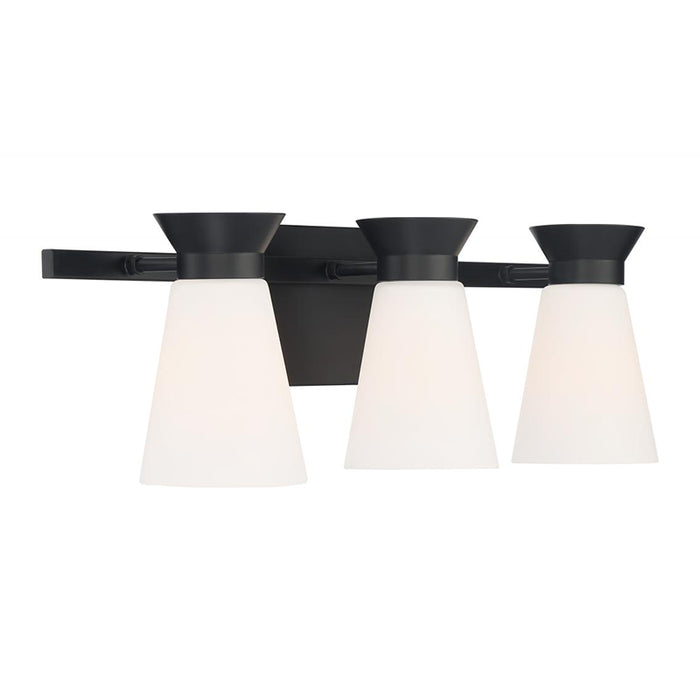 Nuvo 60-7313 Caleta 3-lt 24" Vanity Light