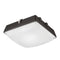 Lithonia Contractor Select CNY 35W LED Outdoor Canopy Light, 4500 lm