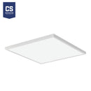 Lithonia Contractor Select CPANL 2x2 LED Flat Panel,  Switchable Lumen & CCT