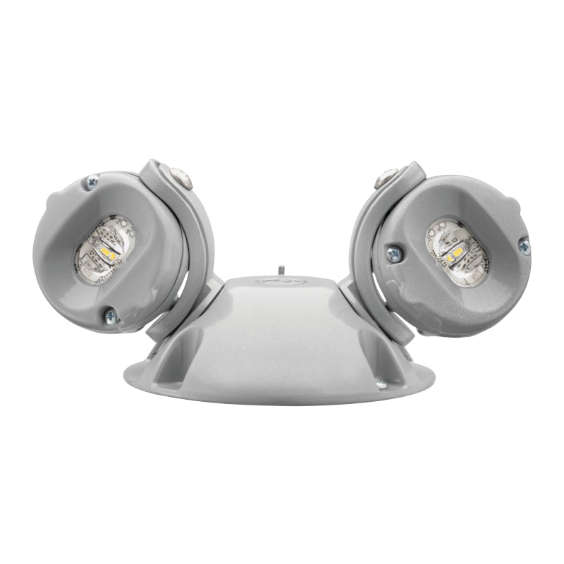 Lithonia ELMRW Quantum LED Adjustable Emergency Wet Location Remote Light Head, Twin Heads, 110lm
