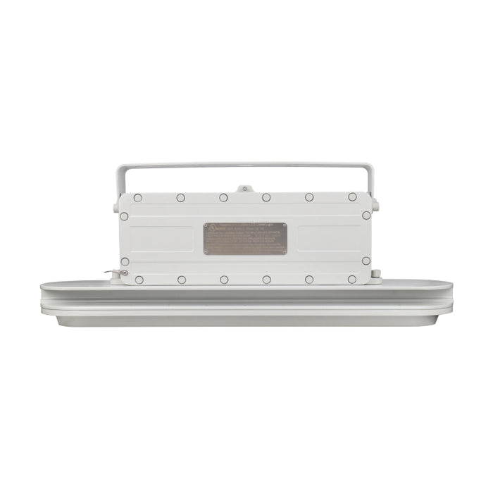 Westgate EXPL 40W Hazardous Location Flood/Highbay Light