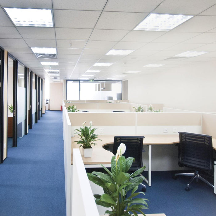 Satco S49993 10W 36" T8 Linear LED Bulb, 5000K 1450 Lumens; Type A; Ballast dependent