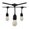 Satco S8020 24-ft 12 Lamps LED String light