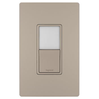 Nickel Switch w/ Plate 