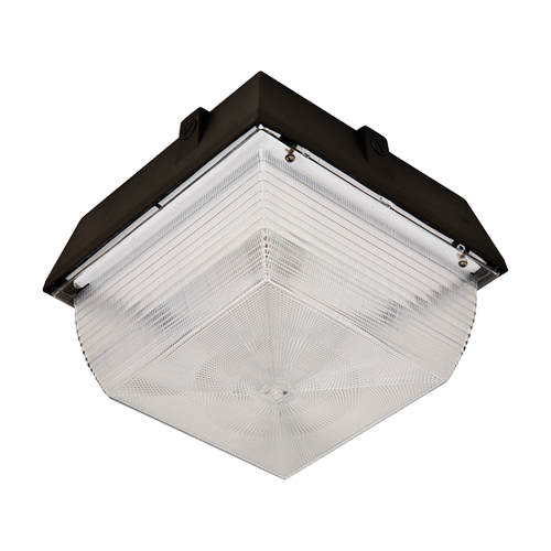 Woods L1706 Vandal Resistant Security Light Ceiling Mount 150W Incandescent
