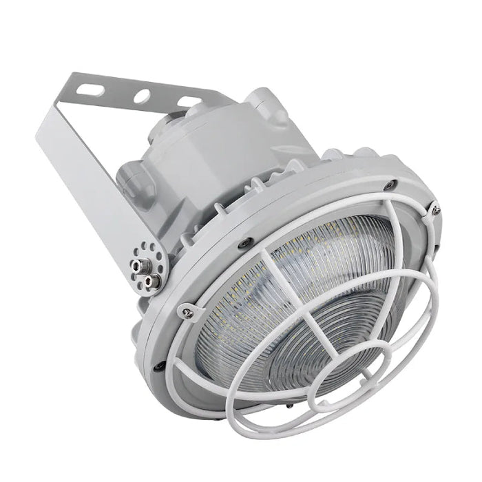 Westgate EXPR-100-150W-WGD Dome Wire Guard for EXPR 100W-150W