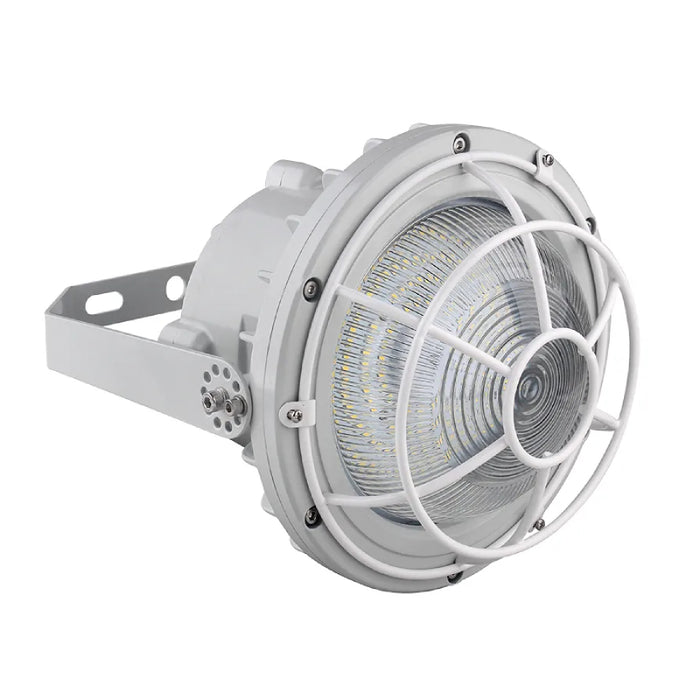 Westgate EXPR-30-60W-WGD Dome Wire Guard for EXPR 30W-60W