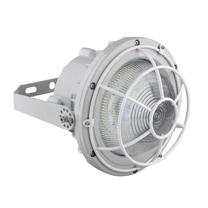 Westgate EXPR-100-150W-WGD Dome Wire Guard for EXPR 100W-150W