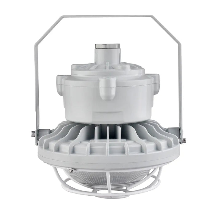 Westgate EXPR-30-60W-WGD Dome Wire Guard for EXPR 30W-60W