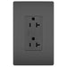Black w/ Wall Plate